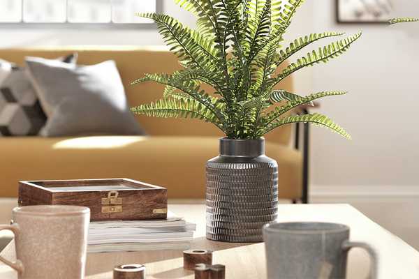 Large artificial love fern sitting on a coffee table.